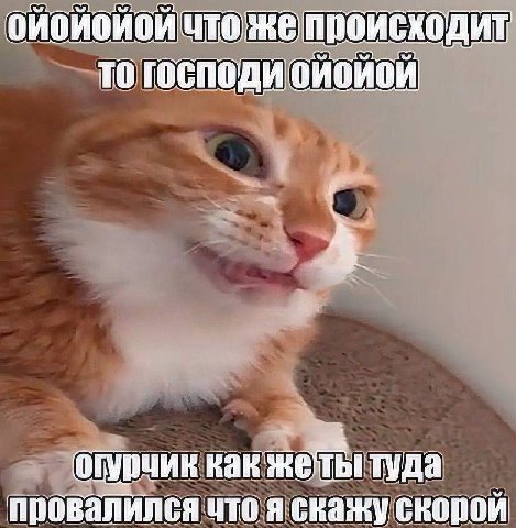 TO a как туда провалился что я скажу скорой