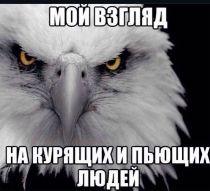 КУРЯЩИХ И ПЬЮЩИХ