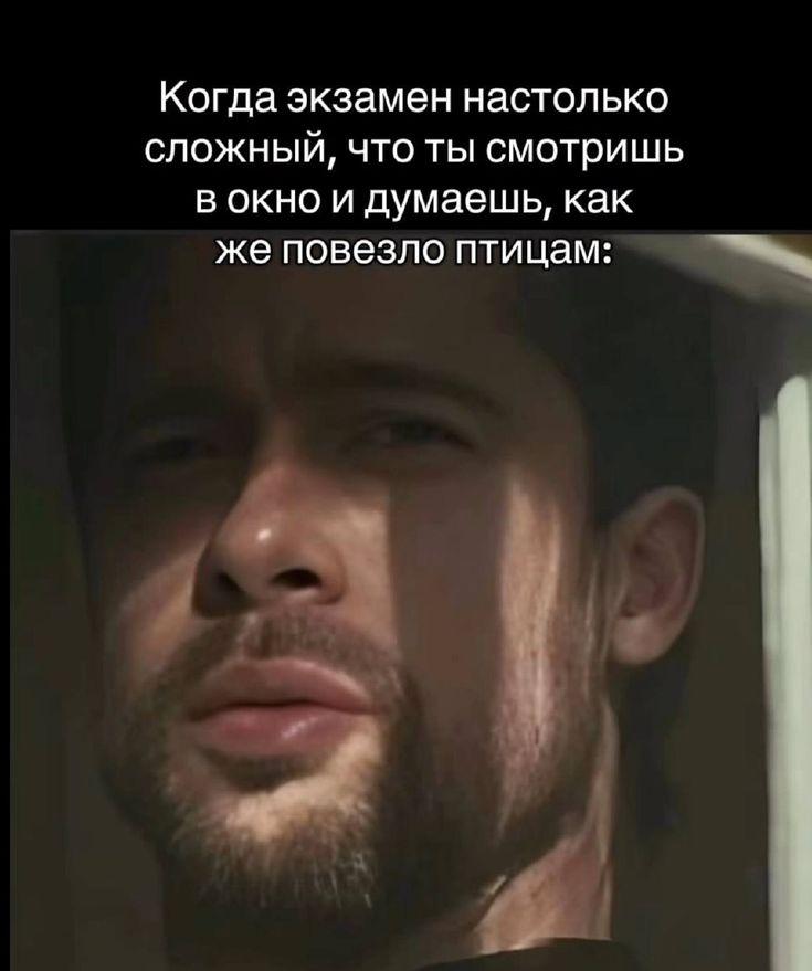 Когда экзамен настолько сложный, что ты смотришь в окно и думаешь, как же повезло птицам: