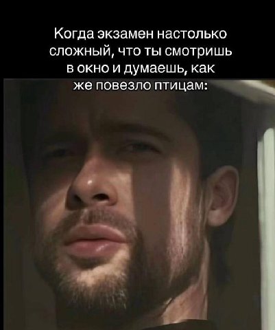 Когда экзамен настолько сложный, что ты смотришь в окно и думаешь, как же повезло птицам: