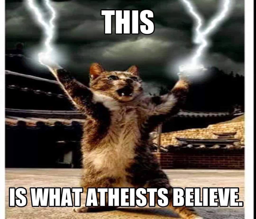 THIS я ATHEISTS BELIEVE