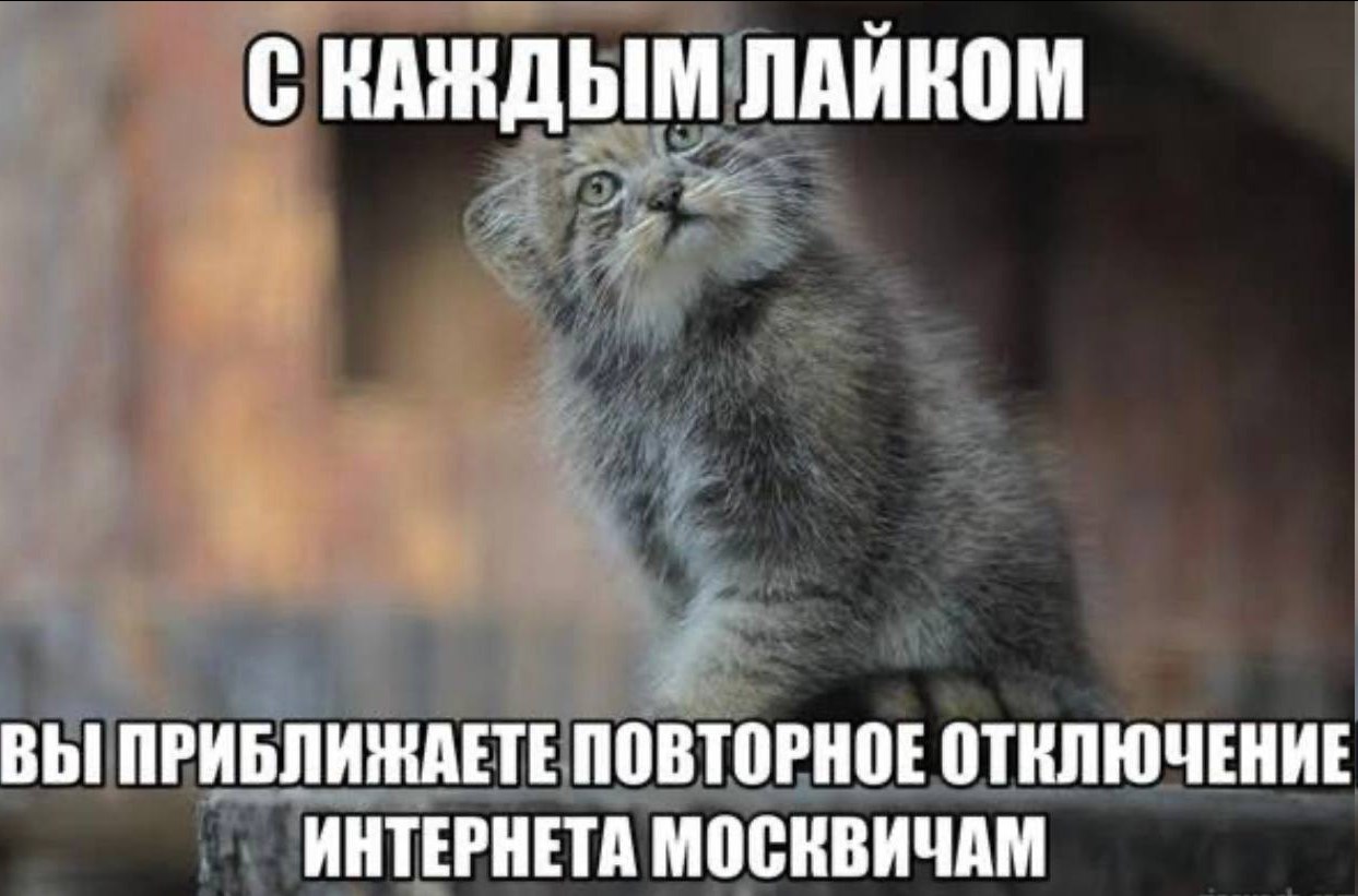 С КАЖДЫМ ЛАЙКОМ ВЫ ПРИБЛИЖАЕТЕ ПОВТОРНОЕ ОТКЛЮЧЕНИЕ ИНТЕРНЕТА МОСКВИЧАМ