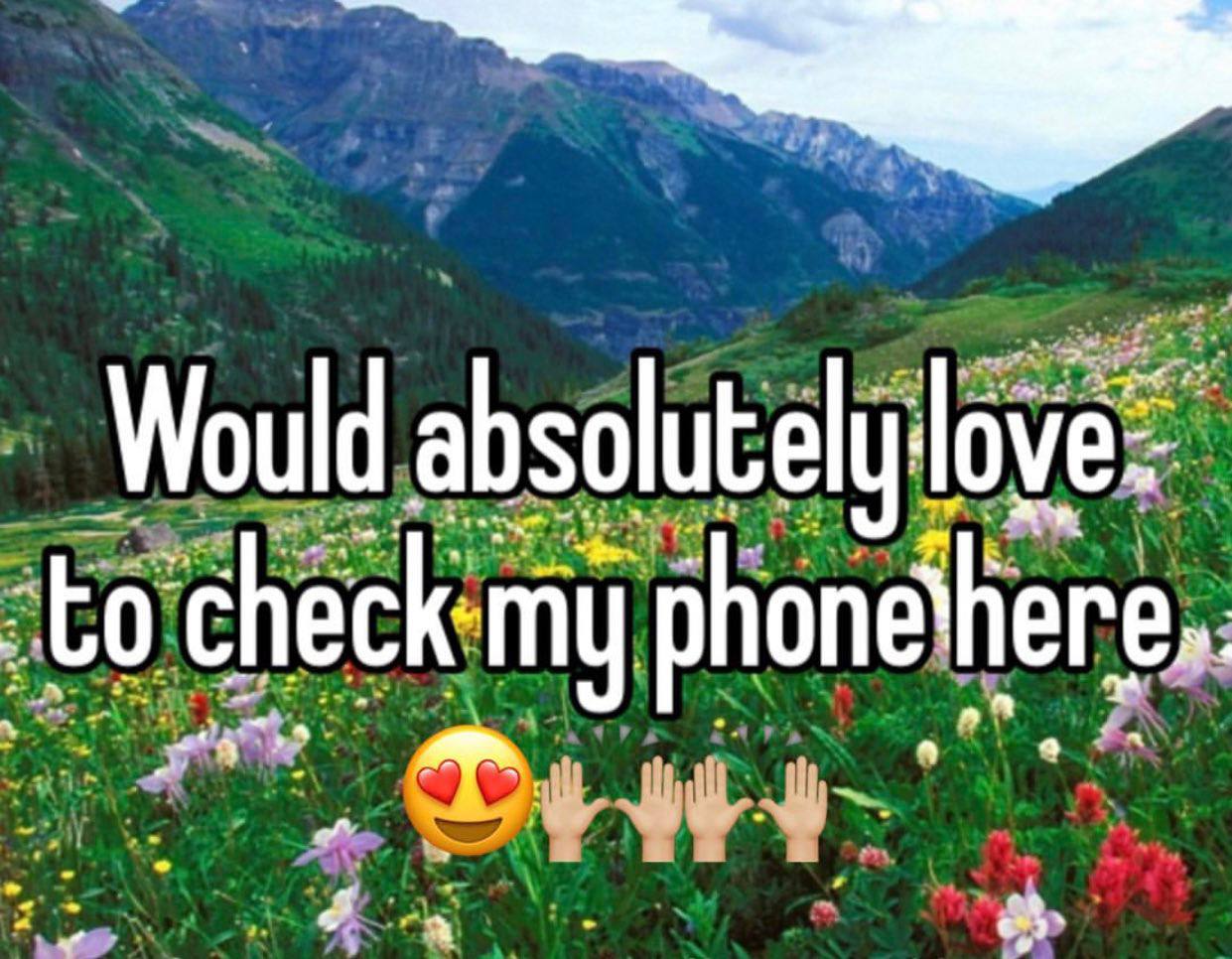 4 Would absolutely love: to check