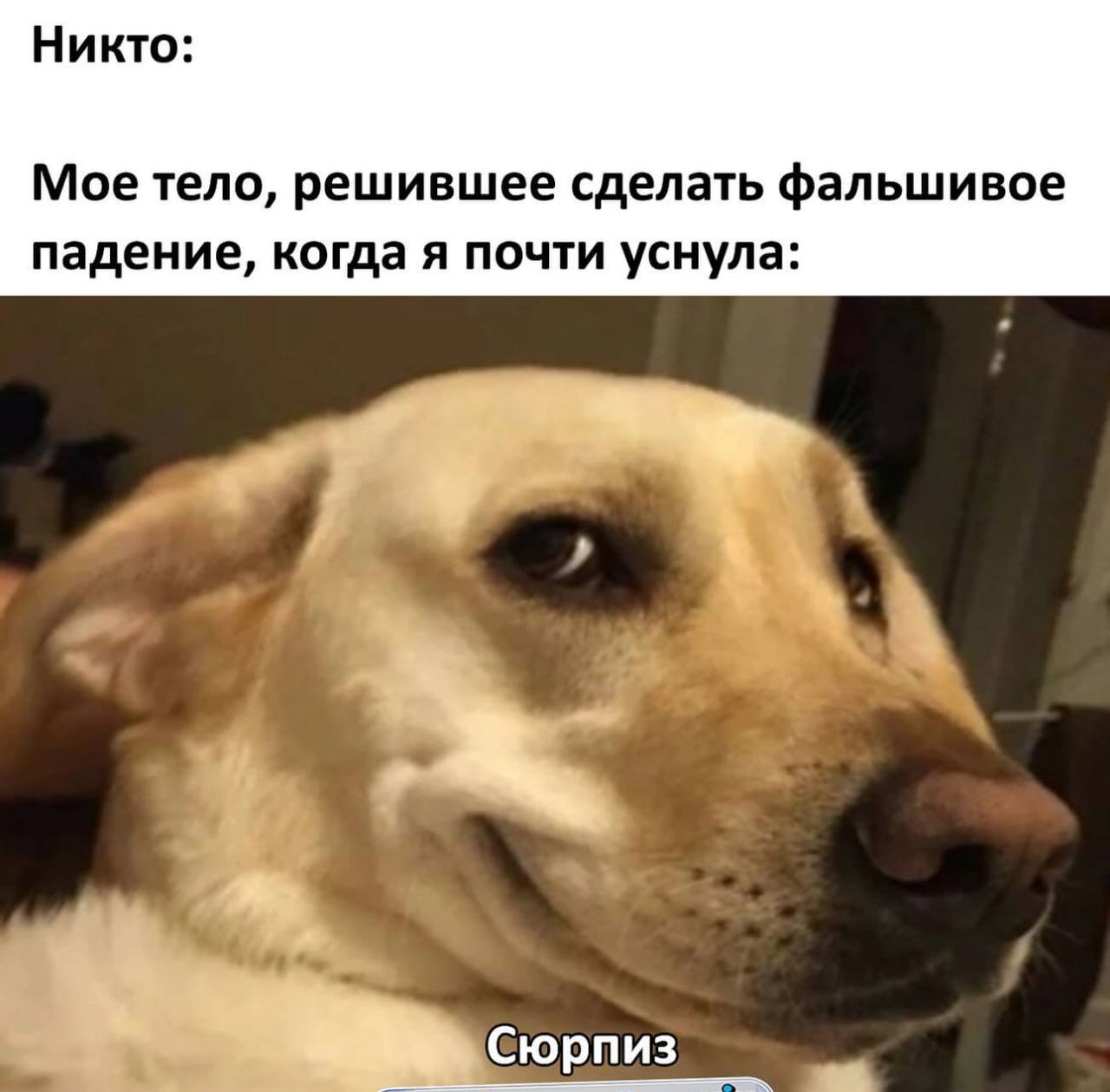 Никто: Мое тело, решившее сделать фальшивое падение, когда я почти уснула: Сюрпиз