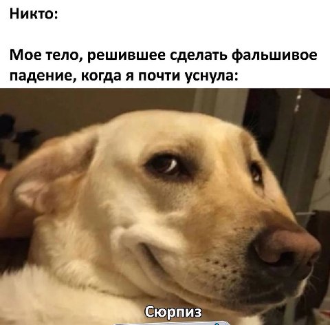 Никто: Мое тело, решившее сделать фальшивое падение, когда я почти уснула: Сюрпиз