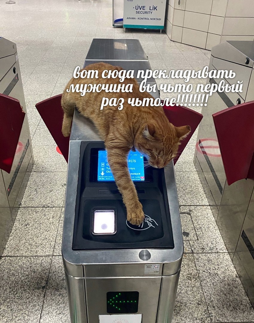 -UVE Lik SECURITY ARAMA KONTROL 4 у 4 1 A вот сюда 7 6 5 5 3 в 3 9 у. a aN a 5 bert 4 A 7