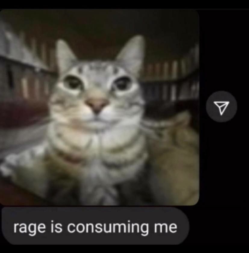 rage is consuming me