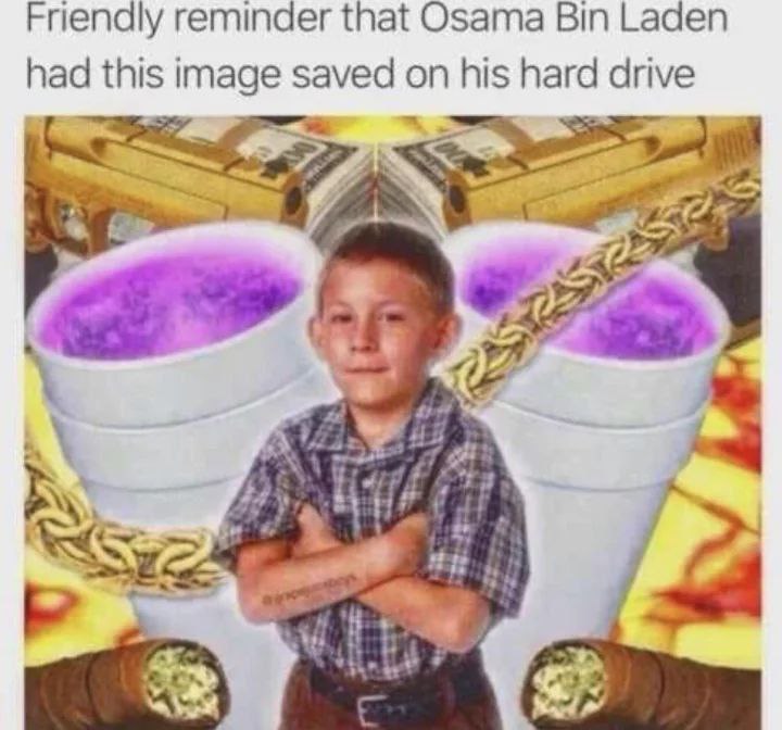 Friendly reminder that Osama Bin Laden had this image saved on his hard drive
