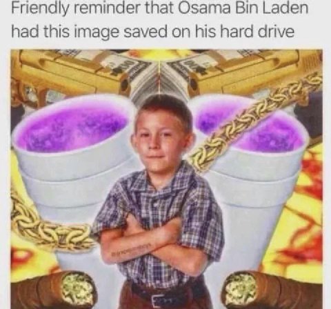 Friendly reminder that Osama Bin Laden had this image saved on his hard drive