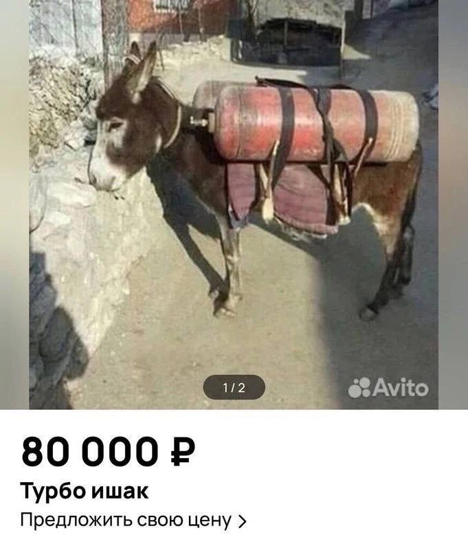 Nie 80 000 Турбо ишак Предложить свою цену