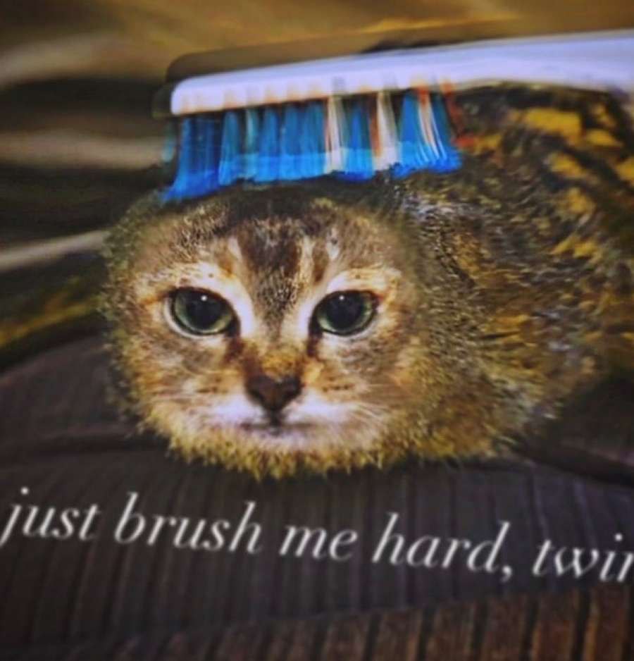 Just hard