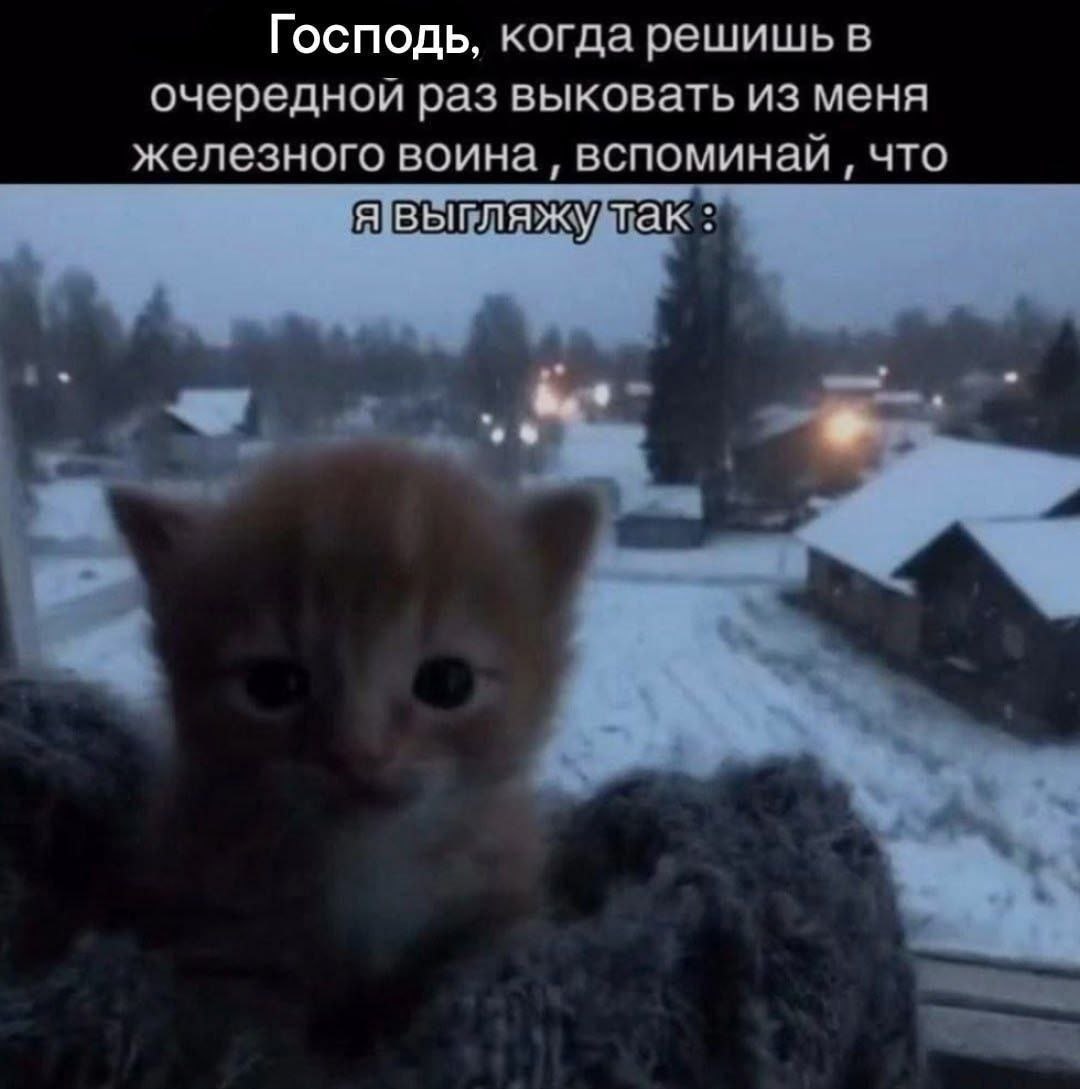 Господь, когда решишь в очередной раз выковать из меня железного воина вспоминай что ‚явыгляжу так: