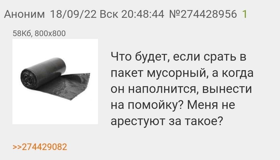 Аноним 18/09/22 Вск 20:48:44 №274428956 1 Что будет, если срать в пакет мусорный, а когда он наполнится, вынести на помойку? Меня не арестуют за такое? >>274429082