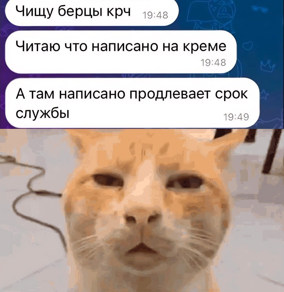 Чищу берцы крч Читаю что написано на креме 19:48 А там написано продлевает срок службы 19:49 1