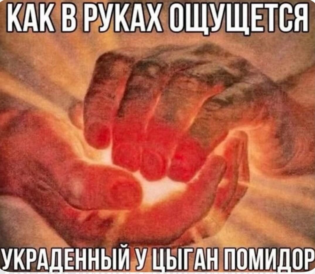 КАК ВРУКАХ ОЩУЩЕТСЯ УКРАДЕННЫЙ У ЦЫГАН ПОМИДОР