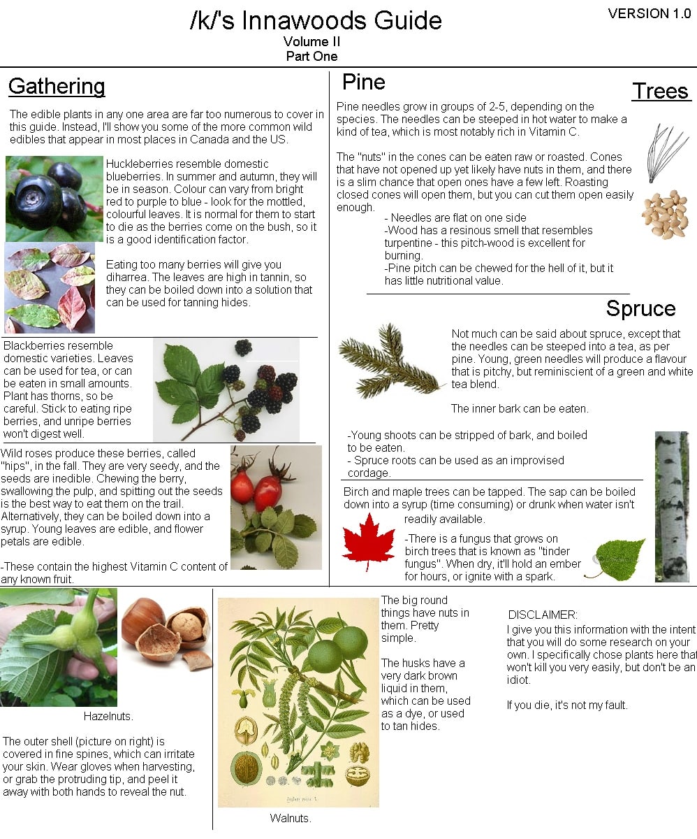 VERSION 1.0 /kf's Innawoods Guide Volume Part One Pine Gathering Trees Pine needles grow in groups of 2-5, depending on the The edible plants in any one area are far too numerous to cover in species. 