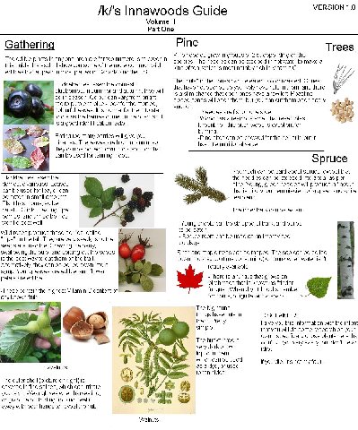 VERSION 1.0 /kf's Innawoods Guide Volume Part One Pine Gathering Trees Pine needles grow in groups of 2-5, depending on the The edible plants in any one area are far too numerous to cover in species. 