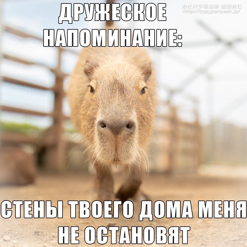 О HEO