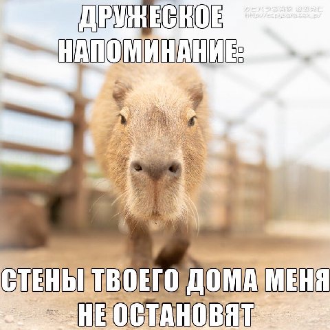 О HEO