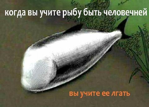 когда вы учите рыбу быть человечней вы учите ее лгать