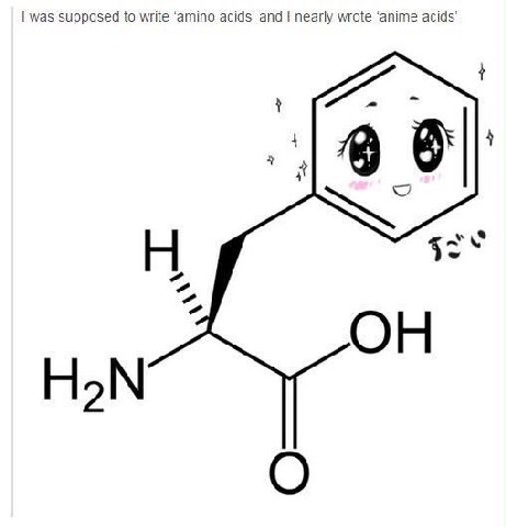 was supposed to write ‘amino acids’ and nearly wrote ‘anime 7 ОН