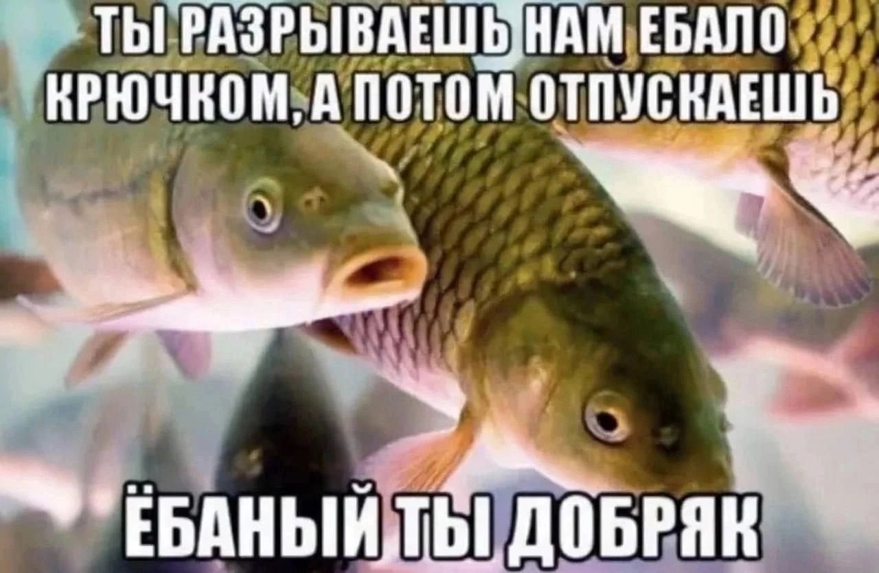 РАЗРЫВАЕШЬНАМ ЕБАЛ КРЮЧКОМ, А ПОТОМ ОТПУСКАЕШЬ wes ДОБРЯК