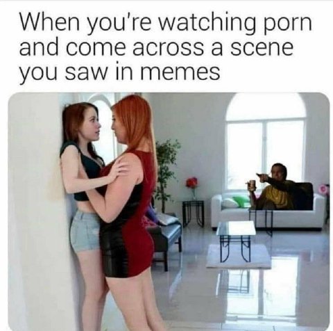 When you're watching porn and come across a scene you in memes 4