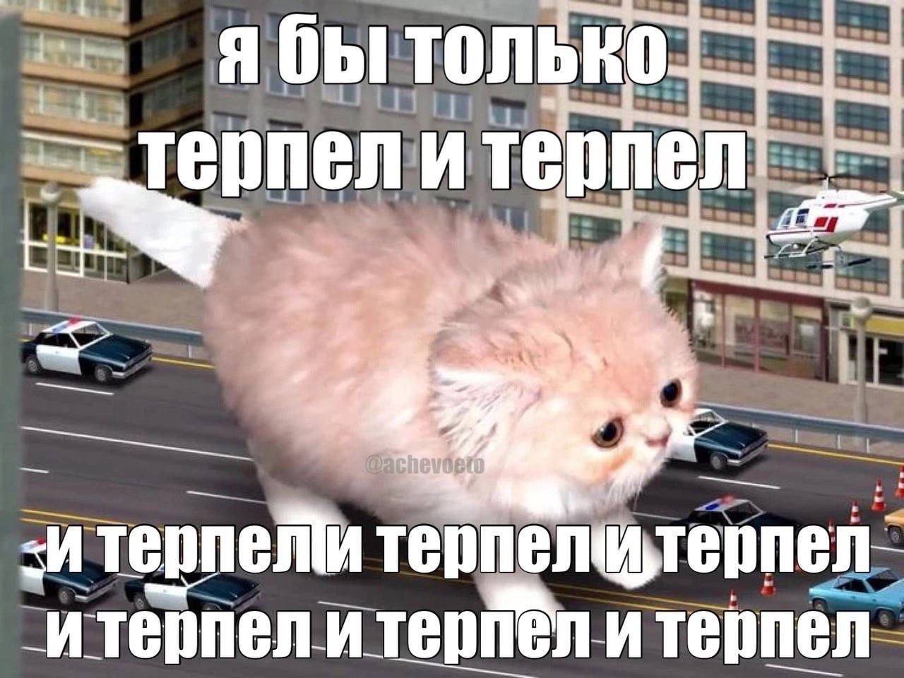 В ТОЛЬКО. И терпел тер ели терпел“