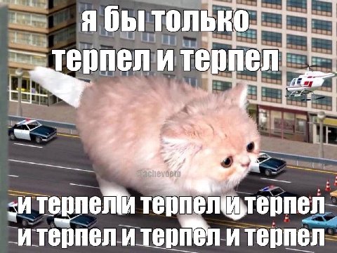 В ТОЛЬКО. И терпел тер ели терпел“