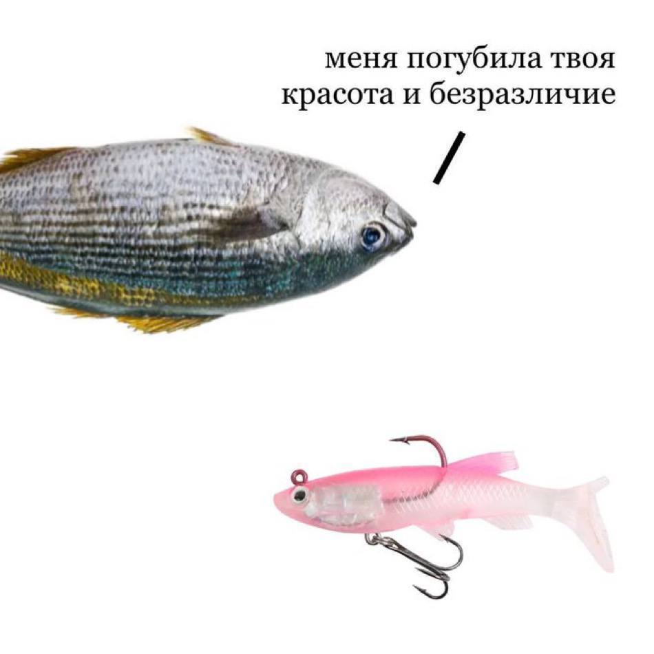 меня погубила твоя красота и безразличие