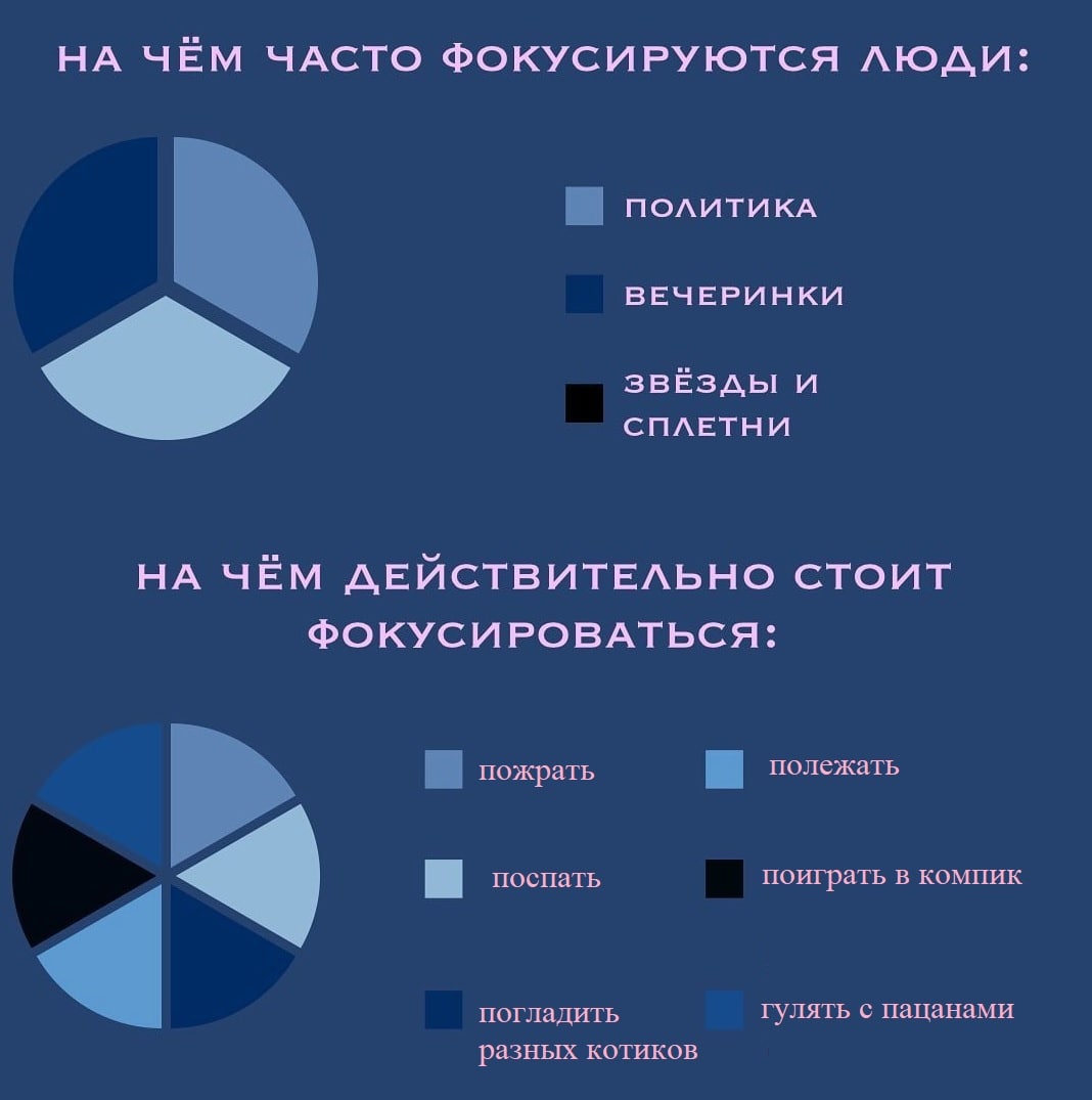 НА ЧЁМ ЧАСТО ФОКУСИРУЮТСЯ ЛЮДИ: ПОЛИТИКА ВЕЧЕРИНКИ звёзды и СПЛЕТНИ НА ЧЁМ ДЕЙСТВИТЕЛЬНО СТОИТ ФОКУСИРОВАТЬСЯ: пожрать полежать поспать поиграть в компик погладить ГУЛЯТЬ с пацанами разных котиков