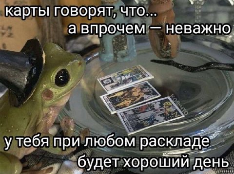 карты говорят, что а впрочем неважно у тебя при любом раскладе” ‘будет хороший день