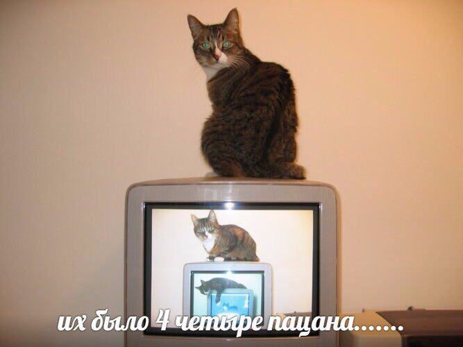 было пацана