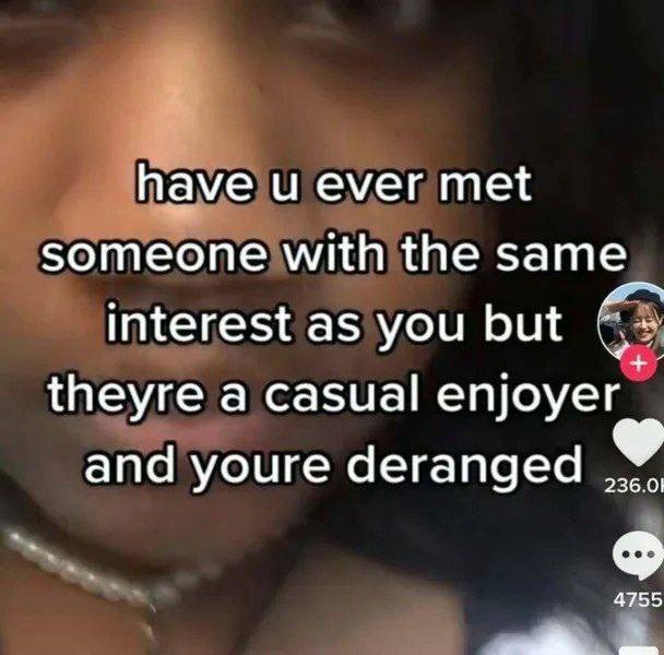 have и ever met someone with the same interest as you but theyre a casual enjoyer and youre deranged 236.01 4755 4