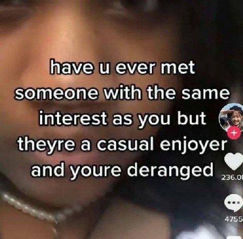 have и ever met someone with the same interest as you but theyre a casual enjoyer and youre deranged 236.01 4755 4