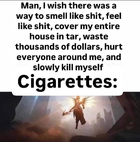 Man, wish there was а way to smell like shit, feel like shit, cover my entire house in tar, waste thousands of dollars, hurt everyone around me, and slowly kill myself Cigarettes: