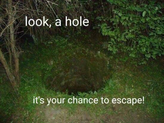 look, а hole it's your chance to escape!