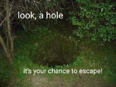 look, а hole it's your chance to escape!