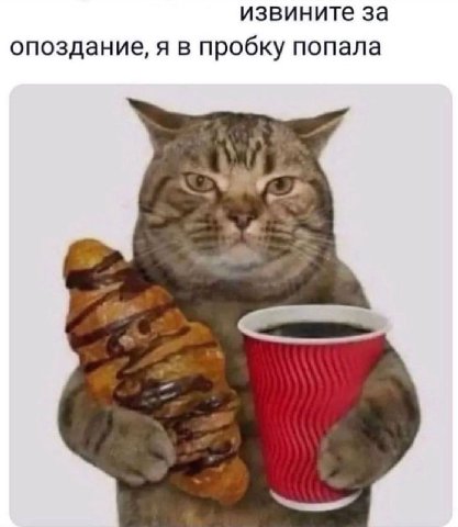 извините за опоздание, я в пробку попала