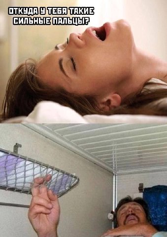 СИЛЬНЫЕ: