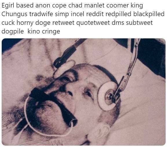 Egirl based anon cope chad manlet соотег king Chungus tradwife simp incel reddit redpilled blackpilled cuck horny doge retweet quotetweet dms subtweet dogpile kino cringe 7
