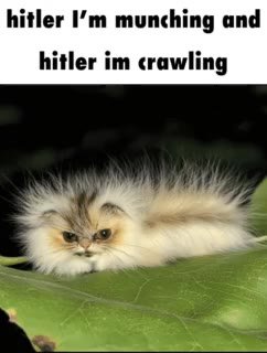 hitler I’m munching and hitler im crawling