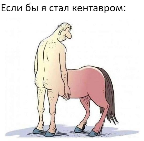 Если бы я стал кентавром:
