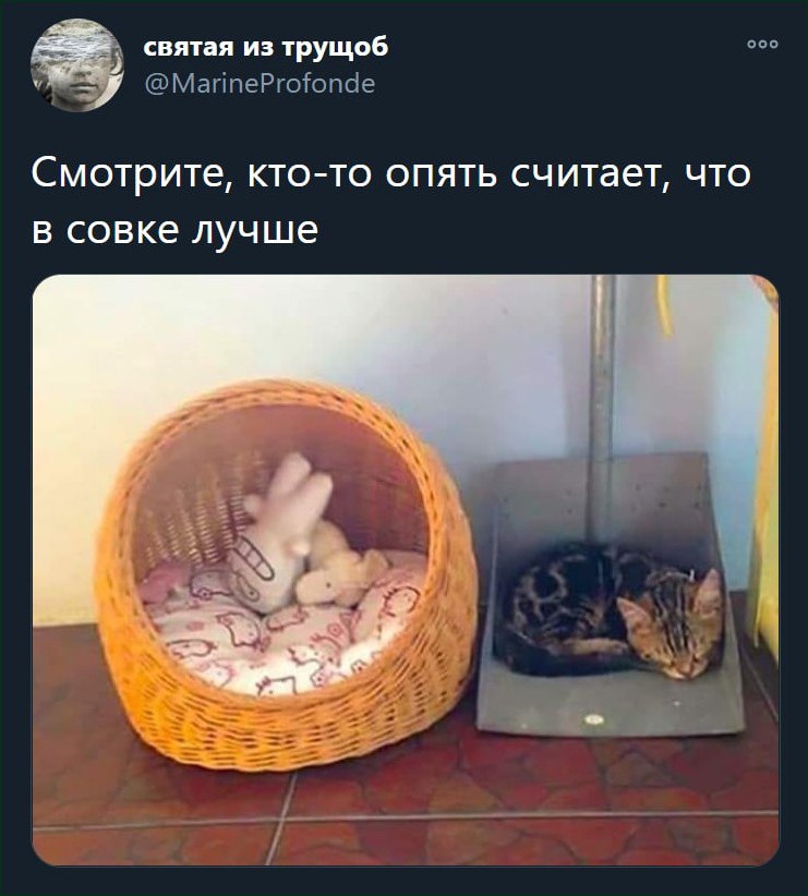 ооо святая из трущоб @МаппеРгоопае Смотрите, кто-то опять считает, что в совке лучше 7