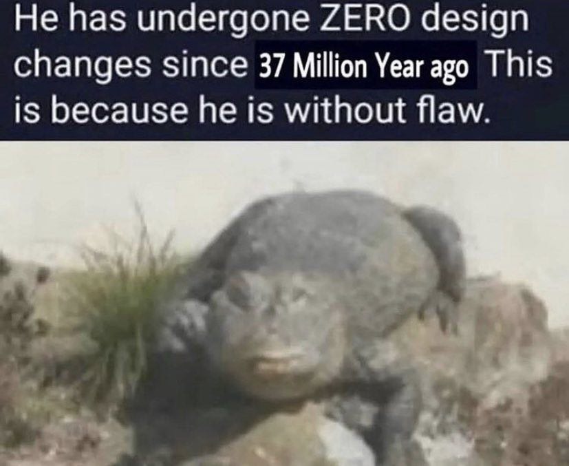 Не has undergone ZERO design changes since 37 Million Year ago This is because he is without flaw.