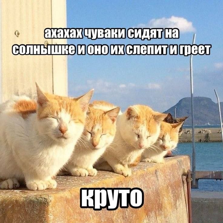 акахках чуваки сидят и OHO слепити 3 у 4