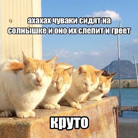 акахках чуваки сидят и OHO слепити 3 у 4