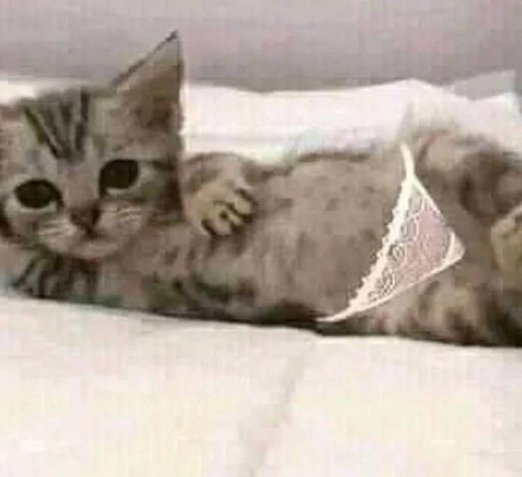 за“ у A О