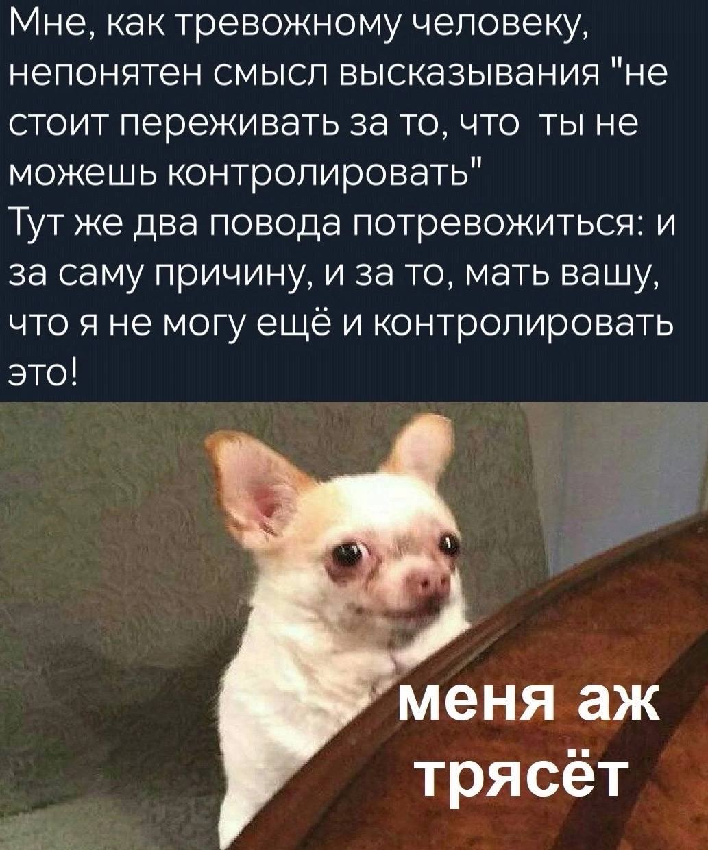Мне, как тревожному человеку, непонятен смысл высказывания "не стоит переживать за то, что ты не можешь контролировать" Тутже два повода потревожиться: и за саму причину, и за то, мать вашу, что я не 