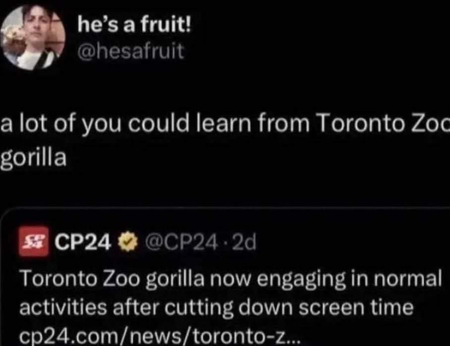 he’s a fruit! у @hesafruit a lot of you could learn from Toronto Zoc gorilla Toronto Zoo gorilla now engaging in normal activities after cutting down screen time